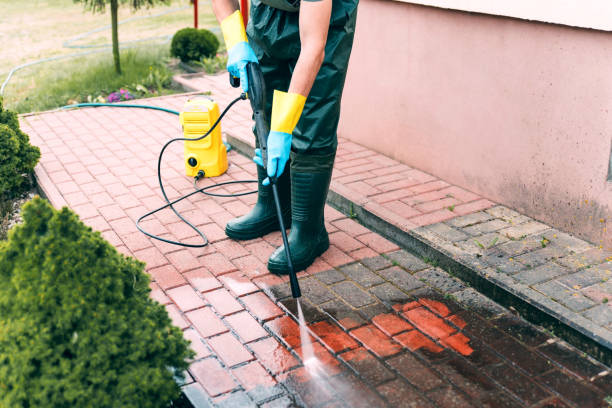 Best Dumpster Area Cleaning  in Idaho Springs, CO